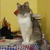 Отзыв от Анна Краснова